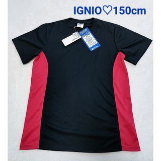 イグニオ(Ignio)の新品♡IGNIOの半袖Tシャツ♡(Tシャツ/カットソー)