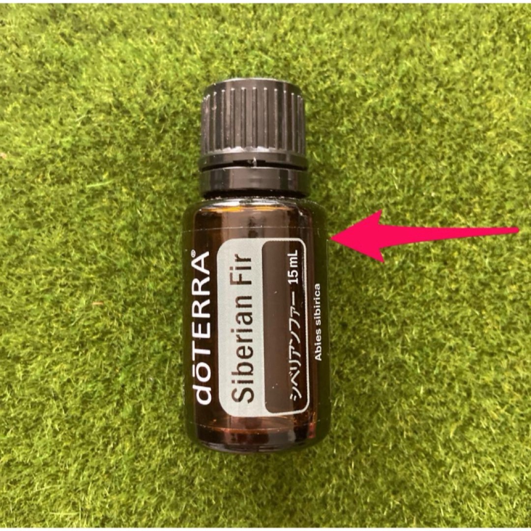 doTERRA(ドテラ)のドテラ　シベリアンファー コスメ/美容のリラクゼーション(エッセンシャルオイル（精油）)の商品写真