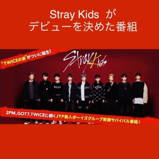 ストレイキッズ(Stray Kids)のStray Kids  JYP デビューオーディション2017(アイドルグッズ)