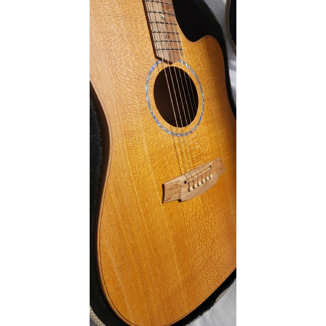 ColeClark CCFL2EC-SSO シルキーオーク - ギター ColeClark CCFL2EC-SSO シルキーオーク - ギター
