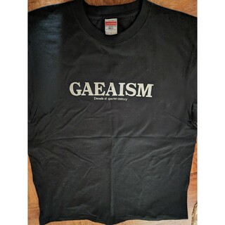 【激レア】GAEAISM プロレスTシャツ