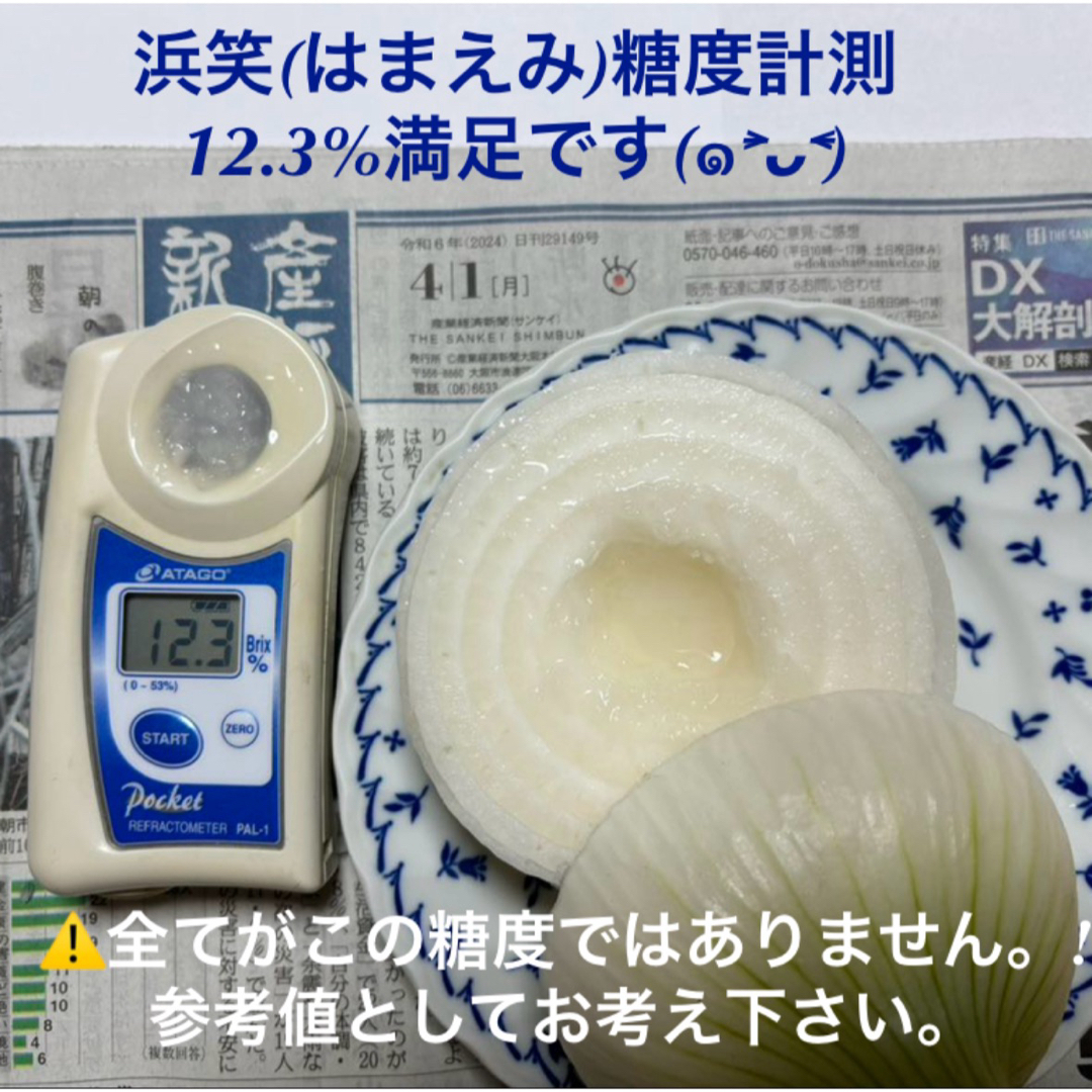 ＜感謝セール＞淡路島産新玉ねぎ 5kg 高糖度 新たまねぎ 新玉葱 新タマ 食品/飲料/酒の食品(野菜)の商品写真