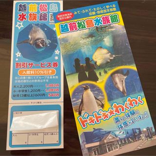 越前松島水族館　割引サービス券　入館料10%引き　福井県　チケット　クーポン(水族館)