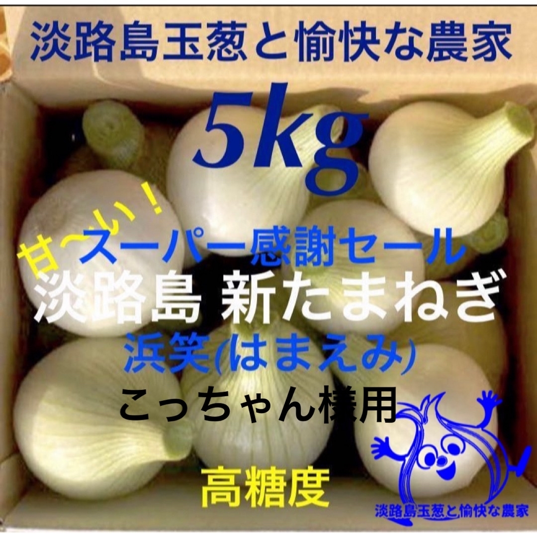 こっちゃん様用 淡路島産新玉ねぎ 5kg 高糖度 新たまねぎ 新玉葱 新タマ 食品/飲料/酒の食品(野菜)の商品写真