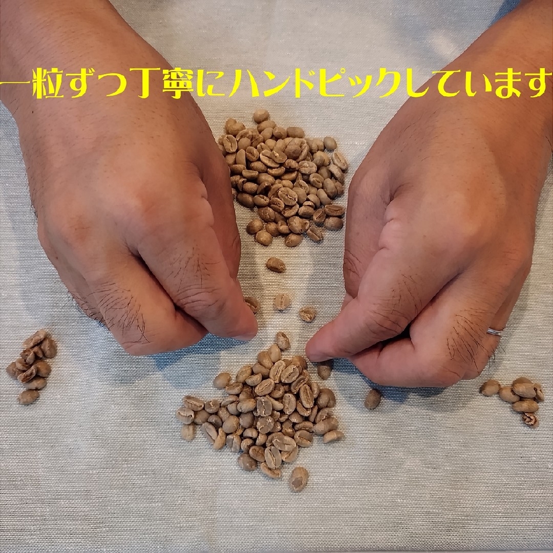 200g　タンザニアＡＡ　キリマンジャロ　ティアレ　自家焙煎　コーヒー豆 食品/飲料/酒の飲料(コーヒー)の商品写真