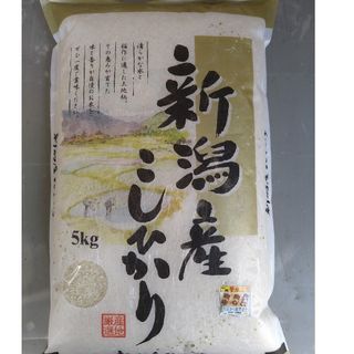 農家直送  新潟県産コシヒカリ白米5㎏(令和5年産)(米/穀物)