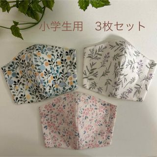 【3枚セット】子どもマスク　小学生用　立体マスク　花　デコレクションズ(外出用品)