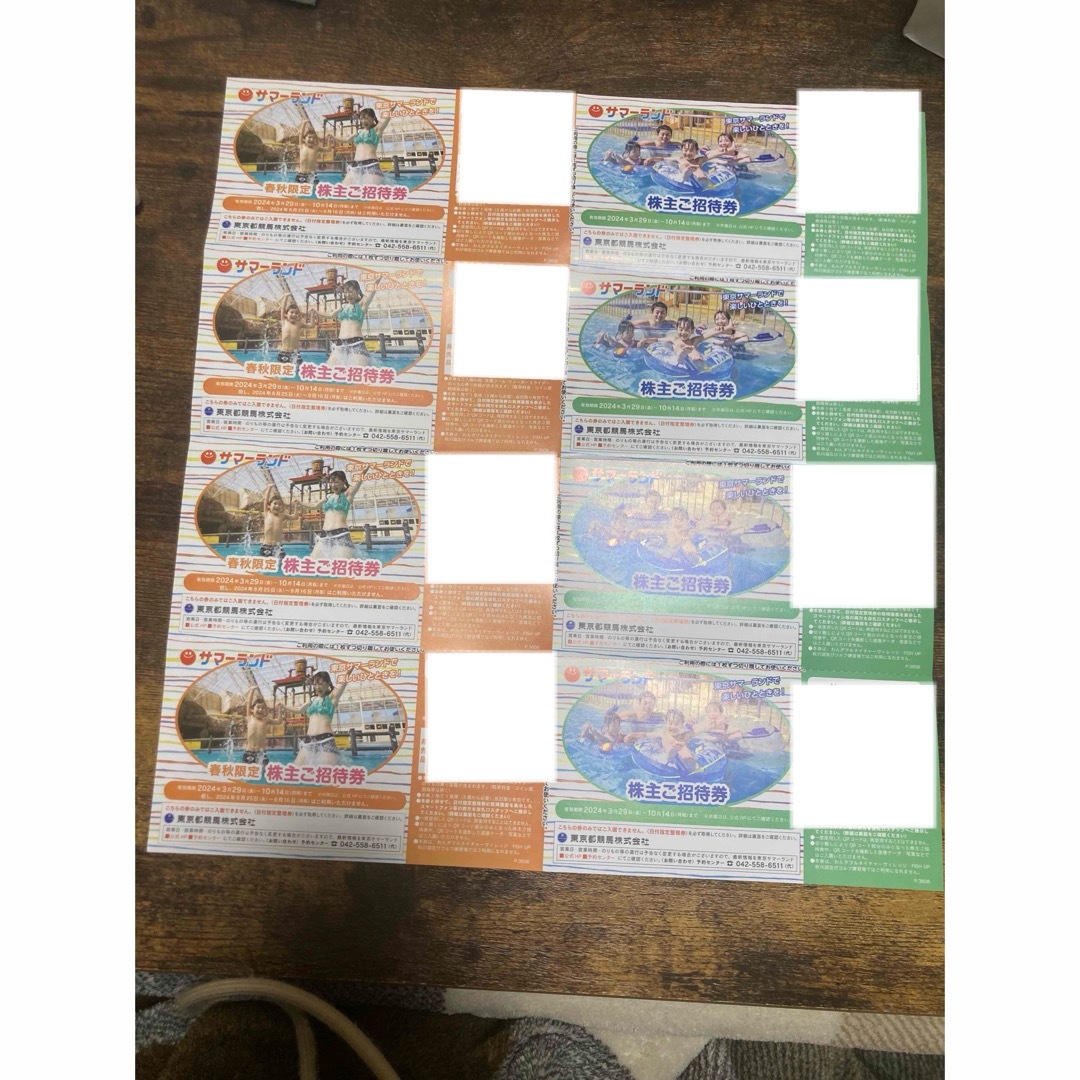 サマーランド　パス チケットの施設利用券(プール)の商品写真