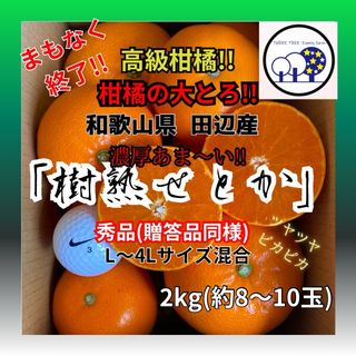 ⑤数量限定!和歌山県田辺産 せとか オレンジ みかん 蜜柑 柑橘 秀品2kg(フルーツ)