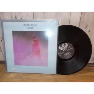 bm0323　LP見本盤　【ALIDA　レコード】【同梱可商品】【N-Aシミ有り-有】　本城未沙子/TRIGGER(ポップス/ロック(邦楽))