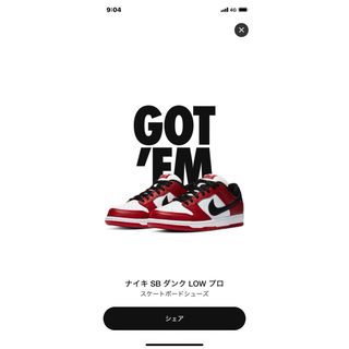 ナイキ(NIKE)のNike SB Dunk Low Pro J-Pack Chicago 28.5(スニーカー)