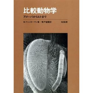 比較動物学 アメーバからヒトまで／Ｍ．フィンガーマン(著者),青戸偕爾(訳者)(科学/技術)