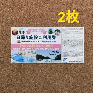 藤田観光 株主優待券 2枚 箱根小涌園ユネッサン 下田海中水族館(その他)