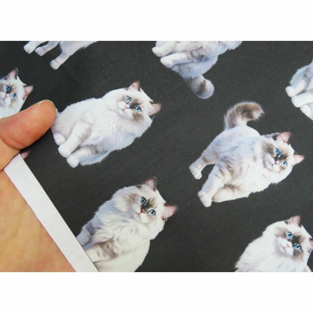 【ゆきちゃん限定】X1674-1　ラグドール　猫　黒系　布　生地　1m ハンドメイドの素材/材料(生地/糸)の商品写真