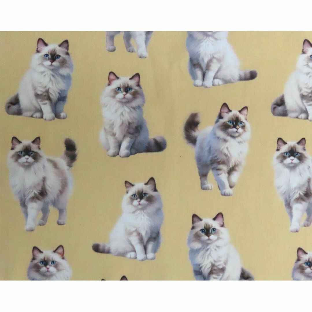 【ゆきちゃん限定】X1675-1　ラグドール　猫　ベージュ　布　1m ハンドメイドの素材/材料(生地/糸)の商品写真