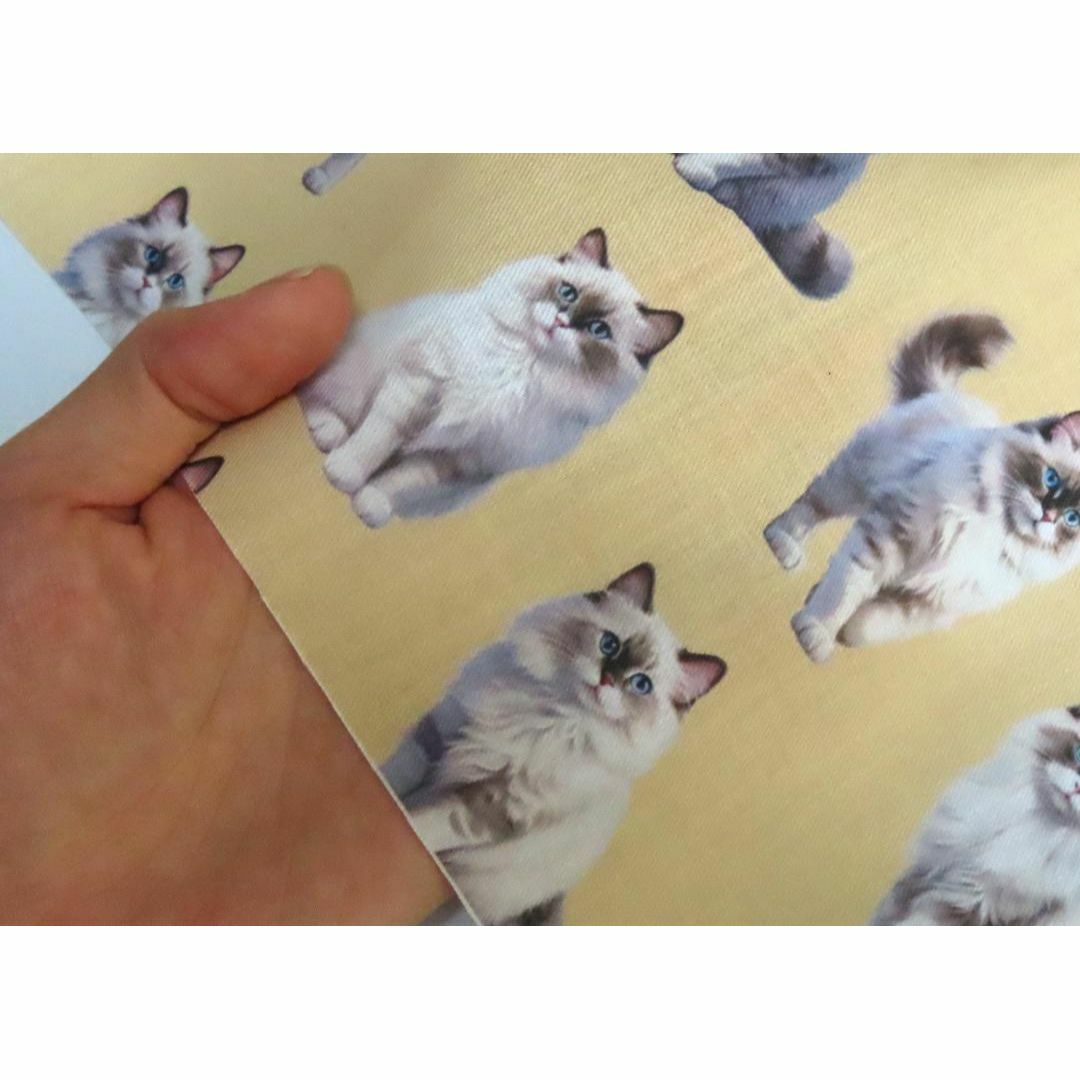 【ゆきちゃん限定】X1675-1　ラグドール　猫　ベージュ　布　1m ハンドメイドの素材/材料(生地/糸)の商品写真