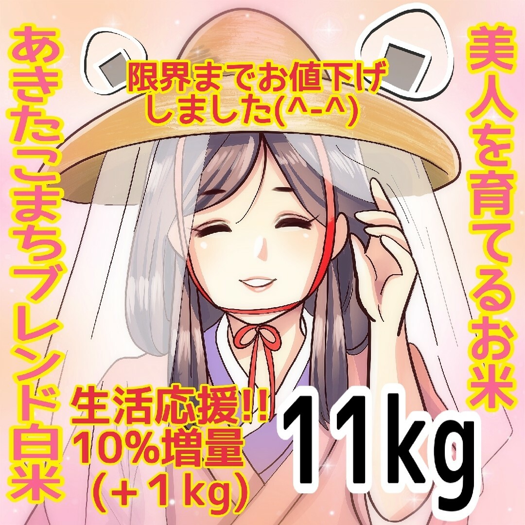 ★生活応援１０％(１kg)増量★あきたこまちブレンド白米（１１kg）送料込み★ 食品/飲料/酒の食品(米/穀物)の商品写真