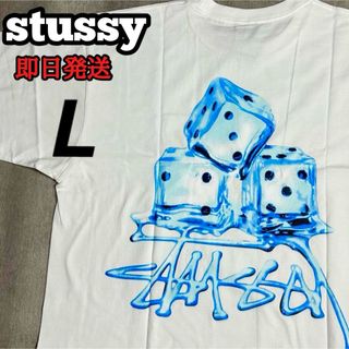 ステューシー(STUSSY)のMEL TED TEE STUSSY Tシャツ ホワイト ダイス サイコロ L(Tシャツ/カットソー(半袖/袖なし))