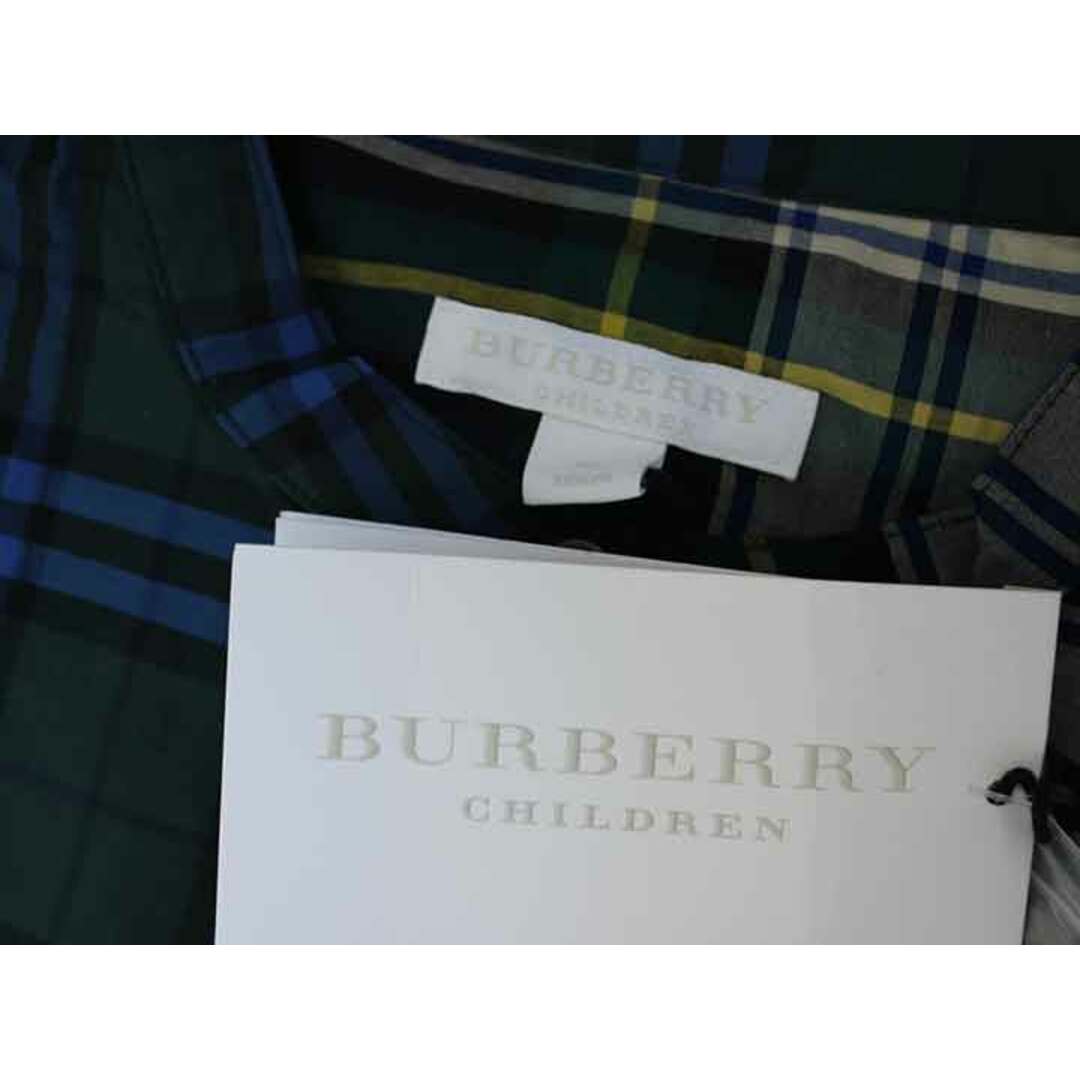 BURBERRY(バーバリー)の【春物 新入荷!】新品 未使用品†バーバリー/BURBERRY†135cm(8Y) 長袖シャツ 緑×青 子供服 キッズ kids 女の子 春秋 tops 923042 キッズ/ベビー/マタニティのベビー服(~85cm)(シャツ/カットソー)の商品写真