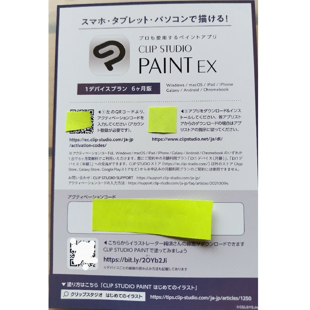 CLIP STUDIO PAINT EX セルシス 株主優待 チケットの優待券/割引券(その他)の商品写真