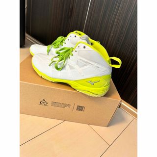 ミズノ(MIZUNO)のエアロビクスシューズ　25cm(シューズ)