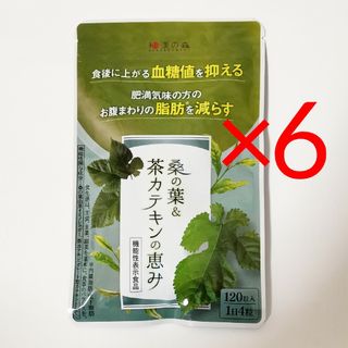 6袋セット 桑の葉&茶カテキンの恵み(その他)