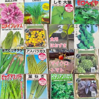 【4月がまきどき！野菜とハーブ　2種】この中から2種類選べます♪(その他)