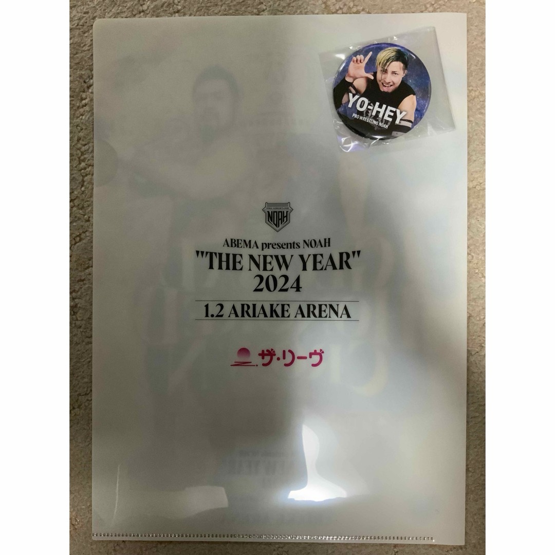 プロレス 拳王 クリアファイル 三沢光晴 Noah カレンダー 征矢学 武藤敬司 エンタメ/ホビーのアニメグッズ(クリアファイル)の商品写真