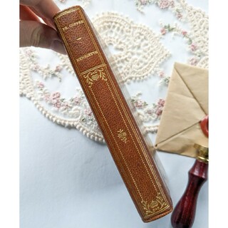 1894年　革製背表紙のデザインが可愛らしい♡小さめのアンティーク本♪(洋書)