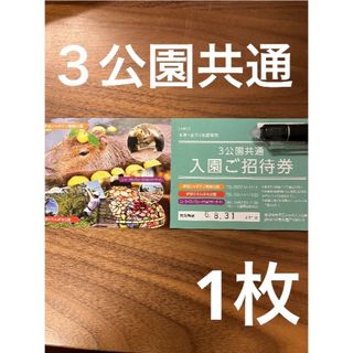 三公園共通　伊豆シャボテン　公園　全日　1枚2名様 ご招待券　(遊園地/テーマパーク)