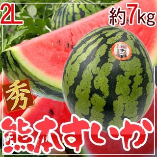 熊本県産　熊本すいか　1玉　2L　約7kg　秀品(フルーツ)