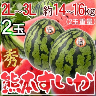熊本県産　熊本すいか　2玉　2L-3L　計約14〜16kg　秀品(フルーツ)