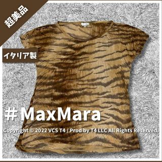 ウィークエンドマックスマーラ(Weekend Max Mara)の【超美品】マックスマーラ 半袖(Tシャツ) S ヒョウ柄 シースルー ✓4076(Tシャツ(半袖/袖なし))