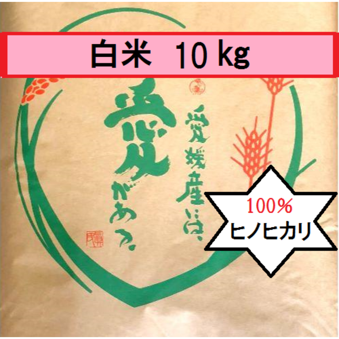 お米　令和5年　愛媛県産ヒノヒカリ　白米　10㎏ 食品/飲料/酒の食品(米/穀物)の商品写真