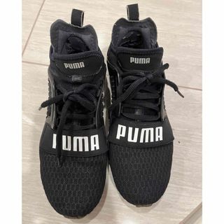 プーマ(PUMA)のプーマ　PUMA  スニーカー(スニーカー)