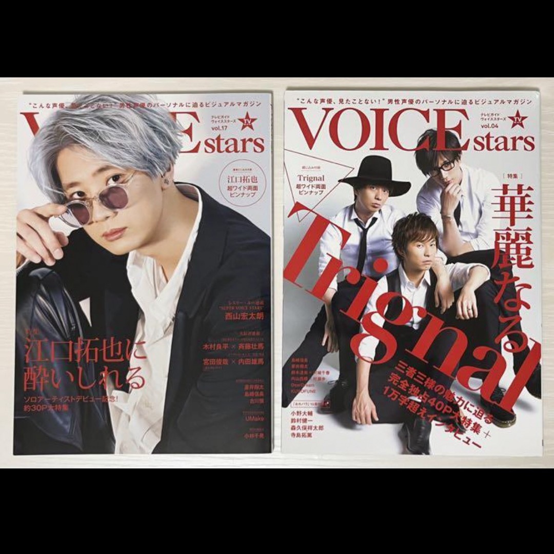 江口拓也 VOICEstars エンタメ/ホビーの同人誌(声優)の商品写真