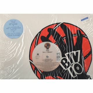 【廃盤12inch】702 / All I Want(その他)