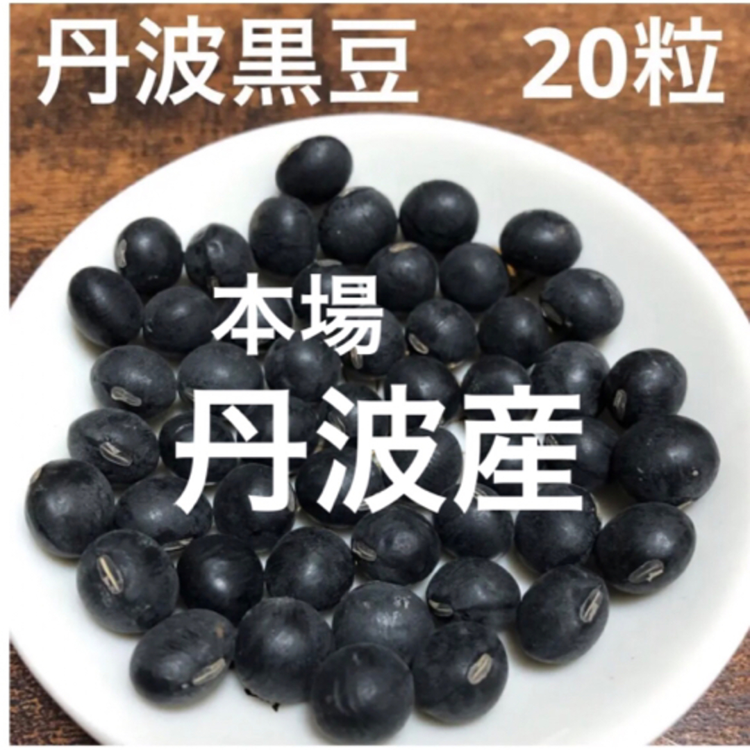 丹波産　丹波の黒豆　20粒 食品/飲料/酒の食品(野菜)の商品写真