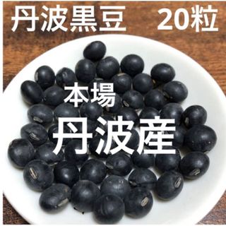 丹波産　丹波の黒豆　20粒(野菜)