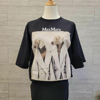 マックスマーラ(Max Mara)の★新品★Max Mara ウェグマンプリント Tシャツ サイズ展開あり XS(Tシャツ(半袖/袖なし))