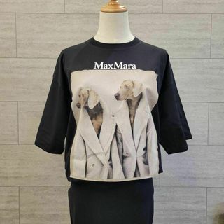 マックスマーラ(Max Mara)の★新品★Max Mara ウェグマンプリント Tシャツ サイズ展開あり M(Tシャツ(半袖/袖なし))