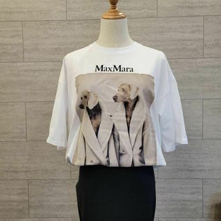 マックスマーラ(Max Mara)の★新品未使用★Max Mara Tシャツ サイズ展開あり XS(Tシャツ(半袖/袖なし))