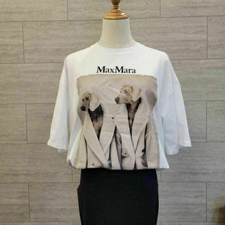 マックスマーラ(Max Mara)の★新品未使用★Max Mara Tシャツ サイズ展開あり M(Tシャツ(半袖/袖なし))