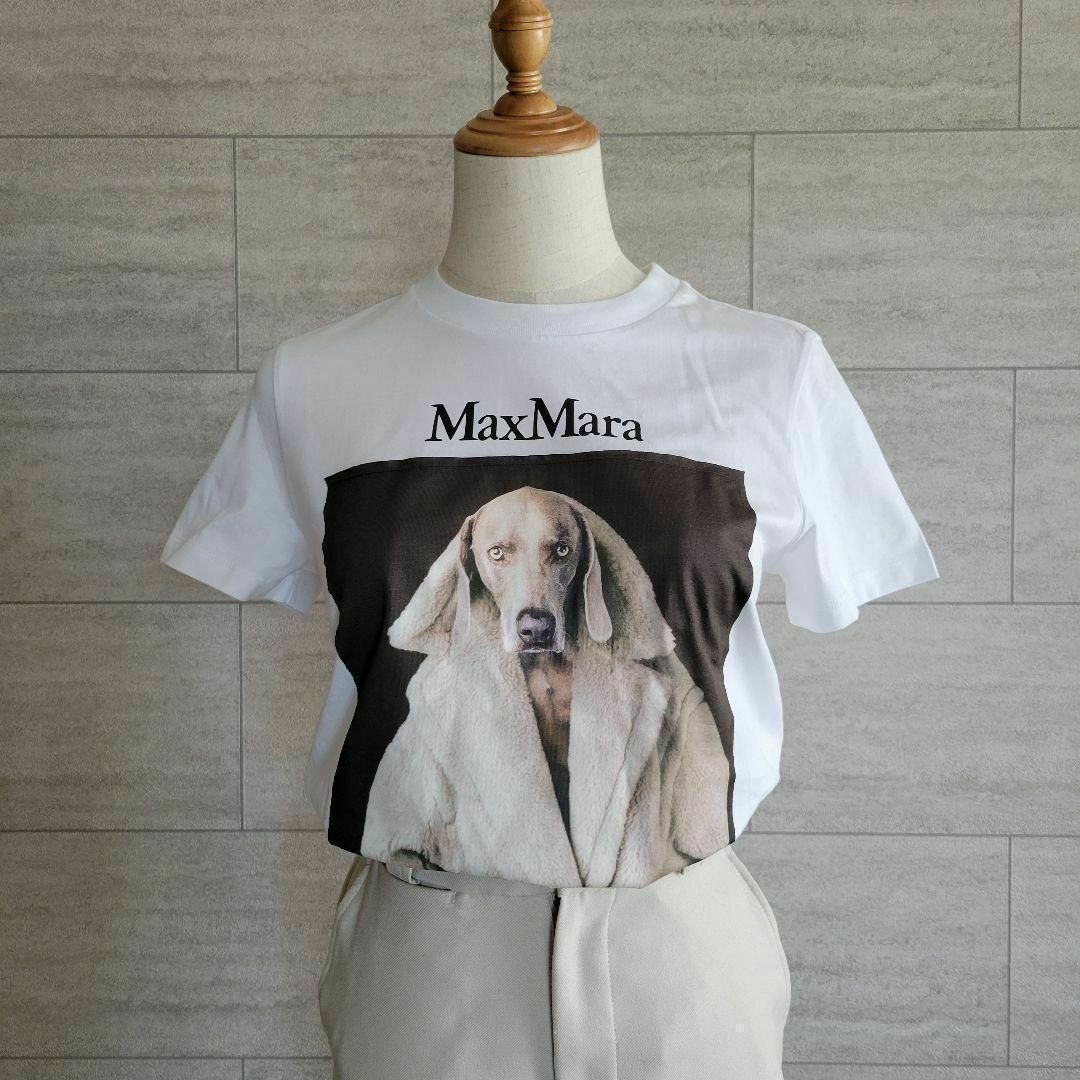 Max Mara(マックスマーラ)の★新品未使用★Max Mara ウェグマンプリント Tシャツ サイズ多数 XS レディースのトップス(Tシャツ(半袖/袖なし))の商品写真