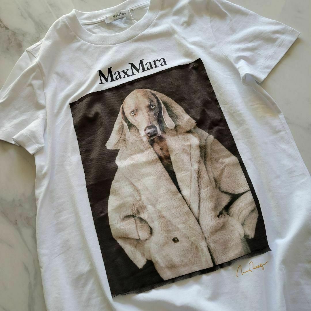 Max Mara(マックスマーラ)の★新品未使用★Max Mara ウェグマンプリント Tシャツ サイズ多数 XS レディースのトップス(Tシャツ(半袖/袖なし))の商品写真