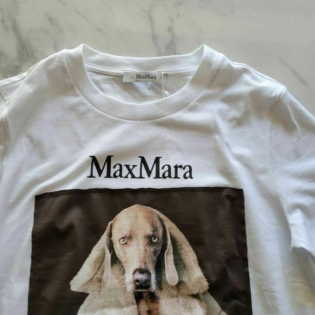 Max Mara(マックスマーラ)の★新品未使用★Max Mara ウェグマンプリント Tシャツ サイズ多数 XS レディースのトップス(Tシャツ(半袖/袖なし))の商品写真