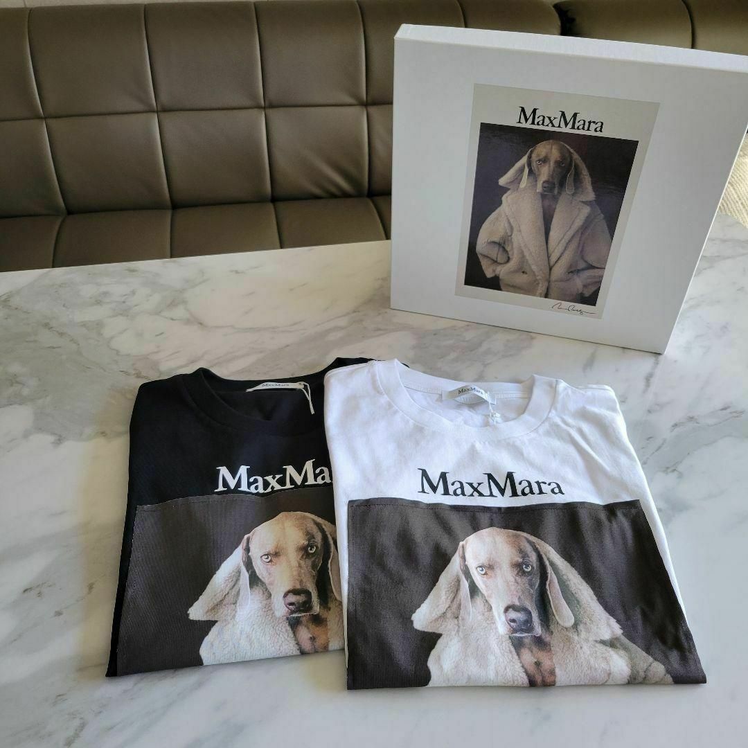 Max Mara(マックスマーラ)の★新品未使用★Max Mara ウェグマンプリント Tシャツ サイズ多数 XS レディースのトップス(Tシャツ(半袖/袖なし))の商品写真