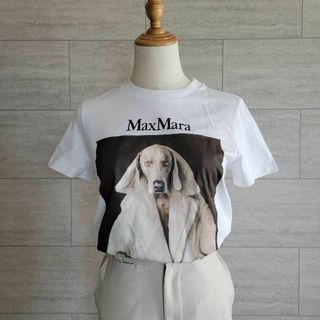 マックスマーラ(Max Mara)の★新品未使用★Max Mara ウェグマンプリント Tシャツ サイズ多数 XS(Tシャツ(半袖/袖なし))