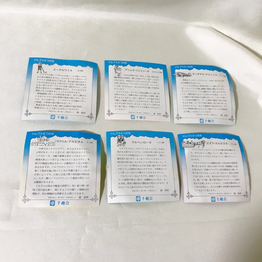 Noritake - ノリタケ ケーキ皿 6枚 カップ&ソーサー 6客 セット Noritake - ノリタケ ケーキ皿 6枚 カップ&ソーサー 6客 セット