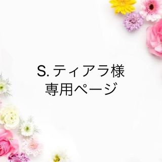 【オーロラビーズ入り】S. ティアラ様専用　ダイヤモンドアート　オーダーメイド(その他)